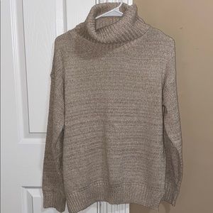 Hunky Turtleneck Sweatee